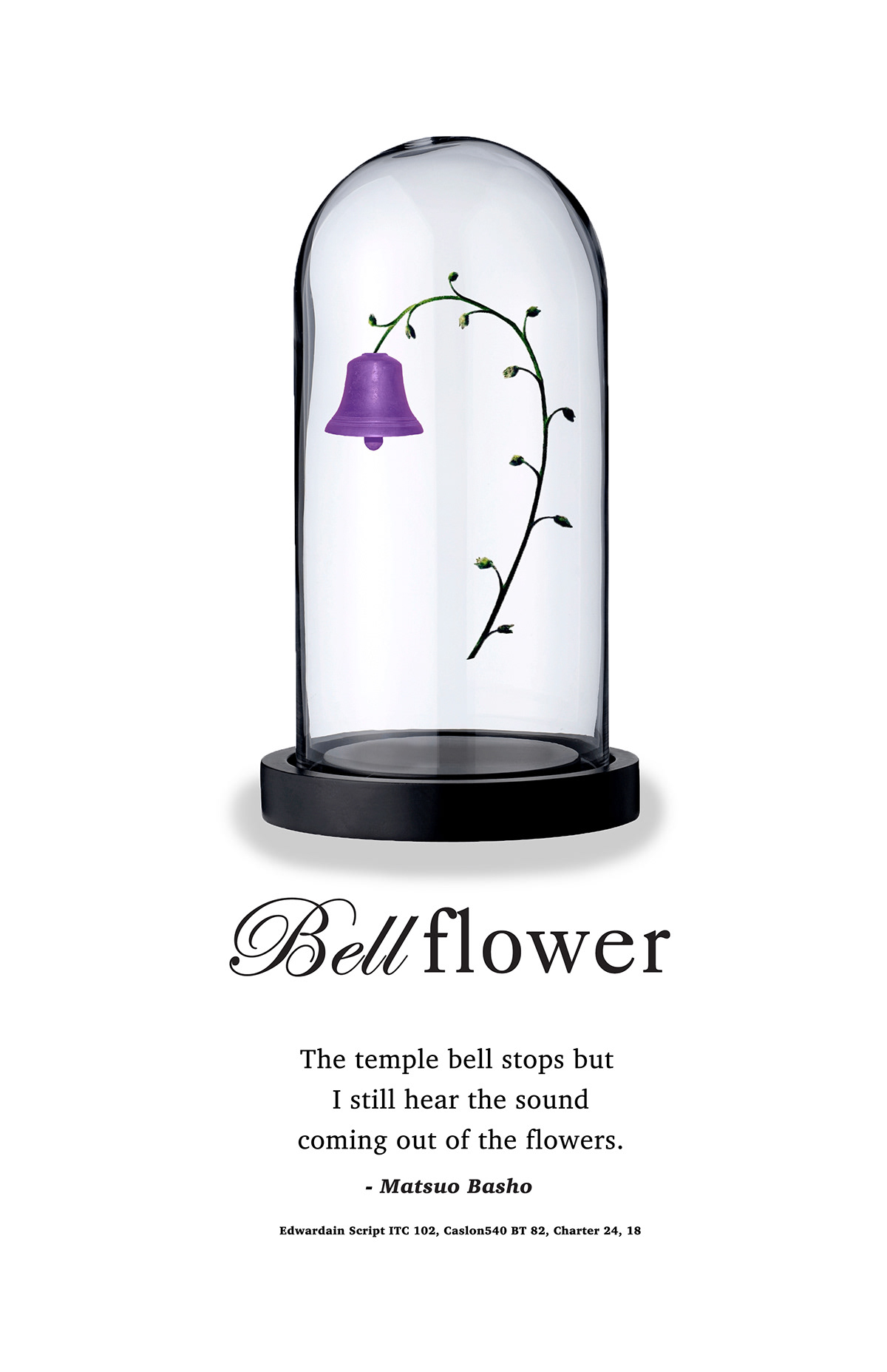 bellflower bell jar poster bell flower