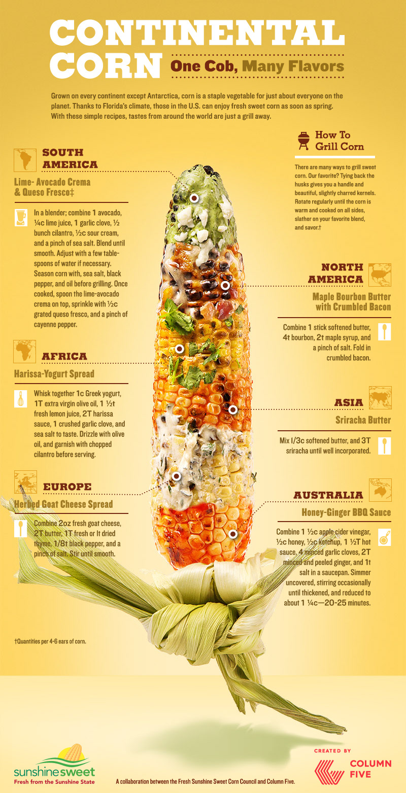 infographic Data information editorial Food  photo design corn