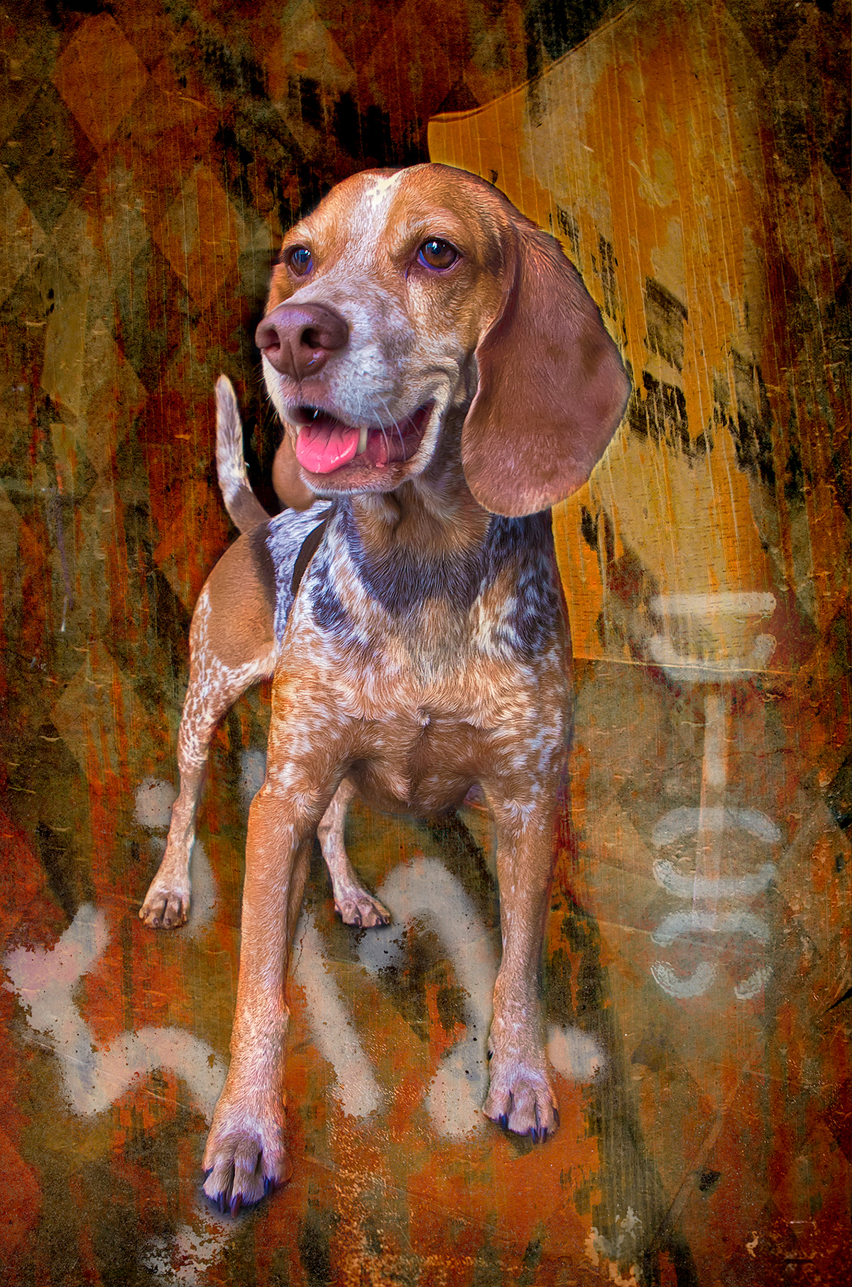 dog pooch pup bender animal Pet best friend beagle