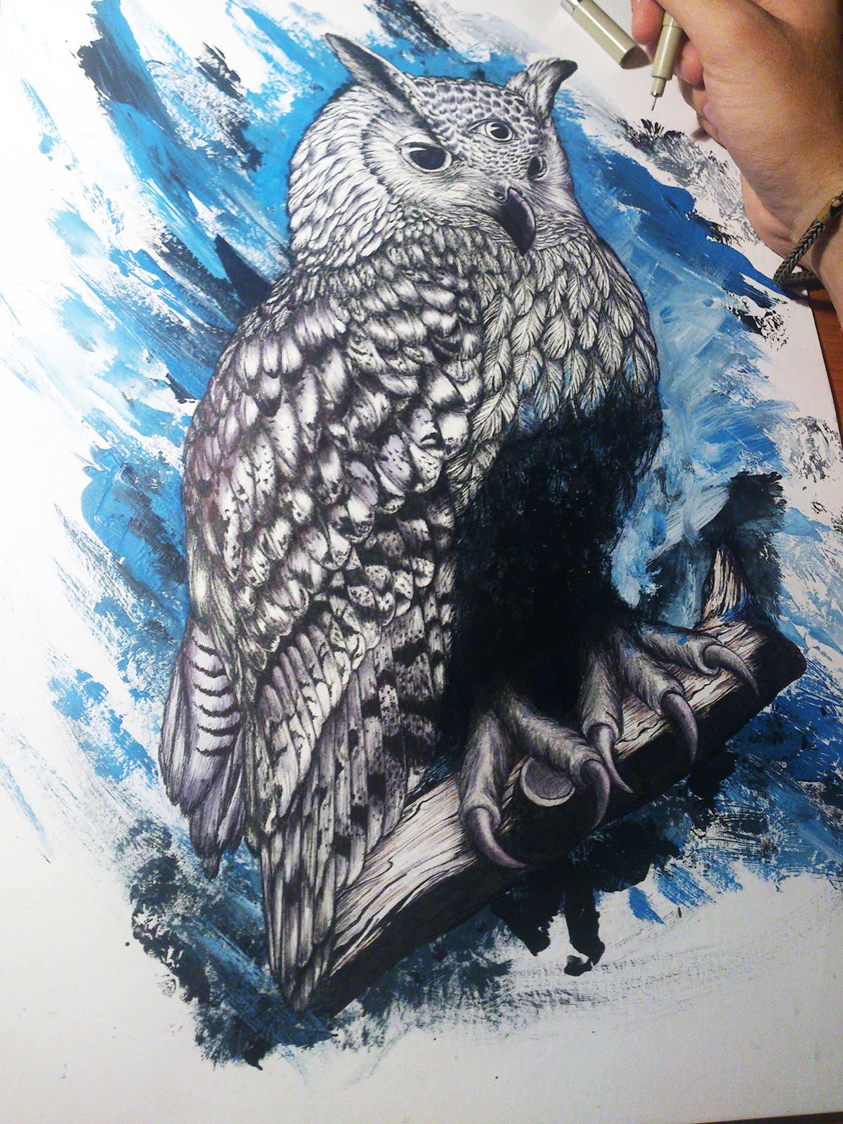 sketch owl draw paint details markers wip