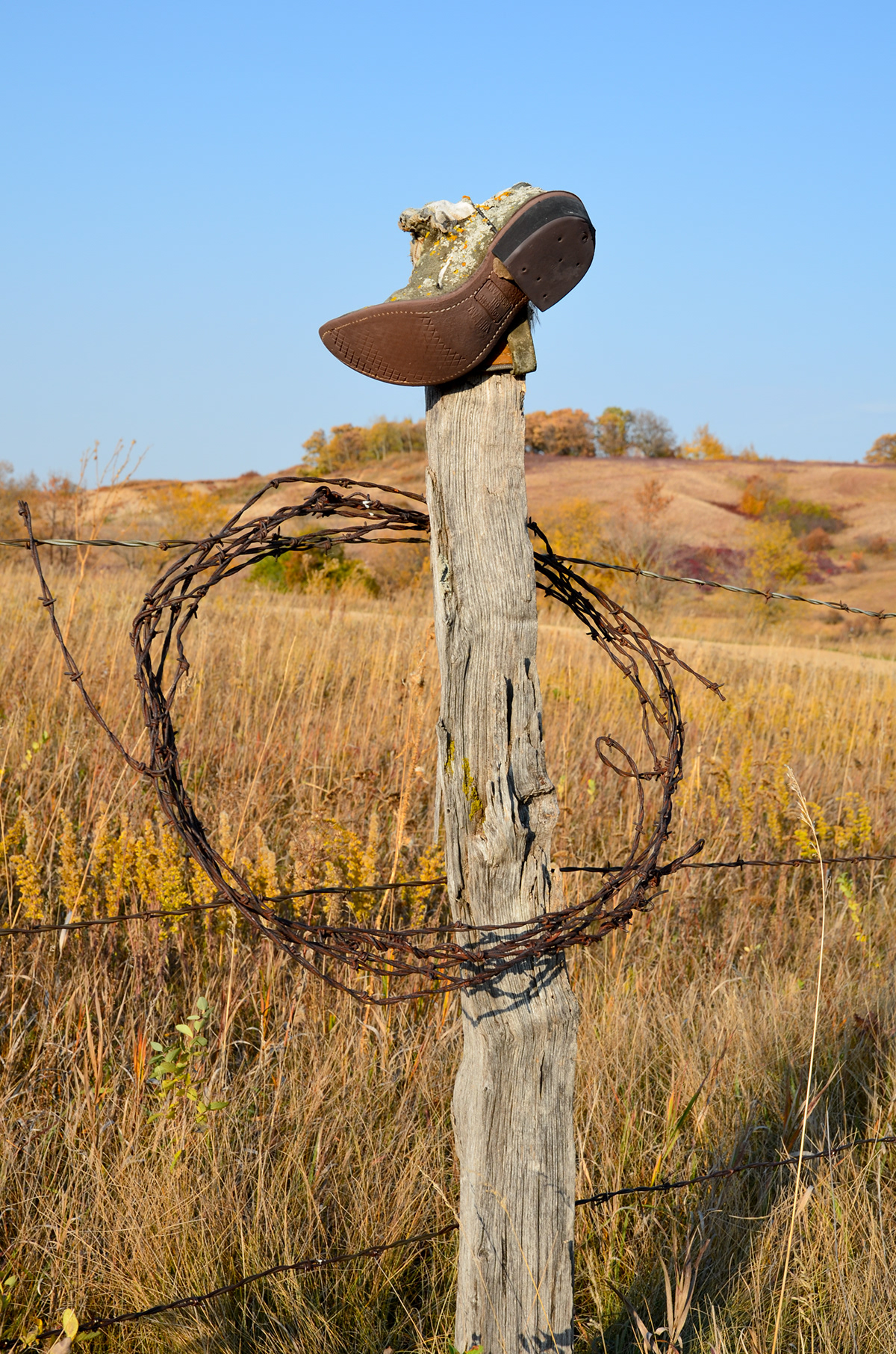 shoes weathered boots heels electrical pole Pole fence rural minnesota Armour Fall Nailed