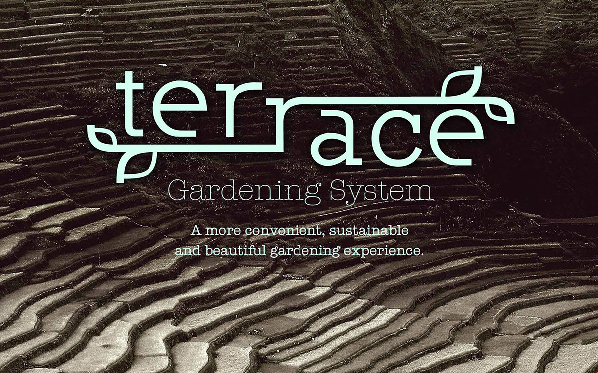 garden Plant Planter raised bed Sustainable babyboomer gardening horticulture