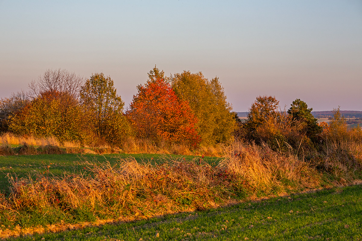 agriculture autumn forest grass hills horizon Landscape light rural sunset