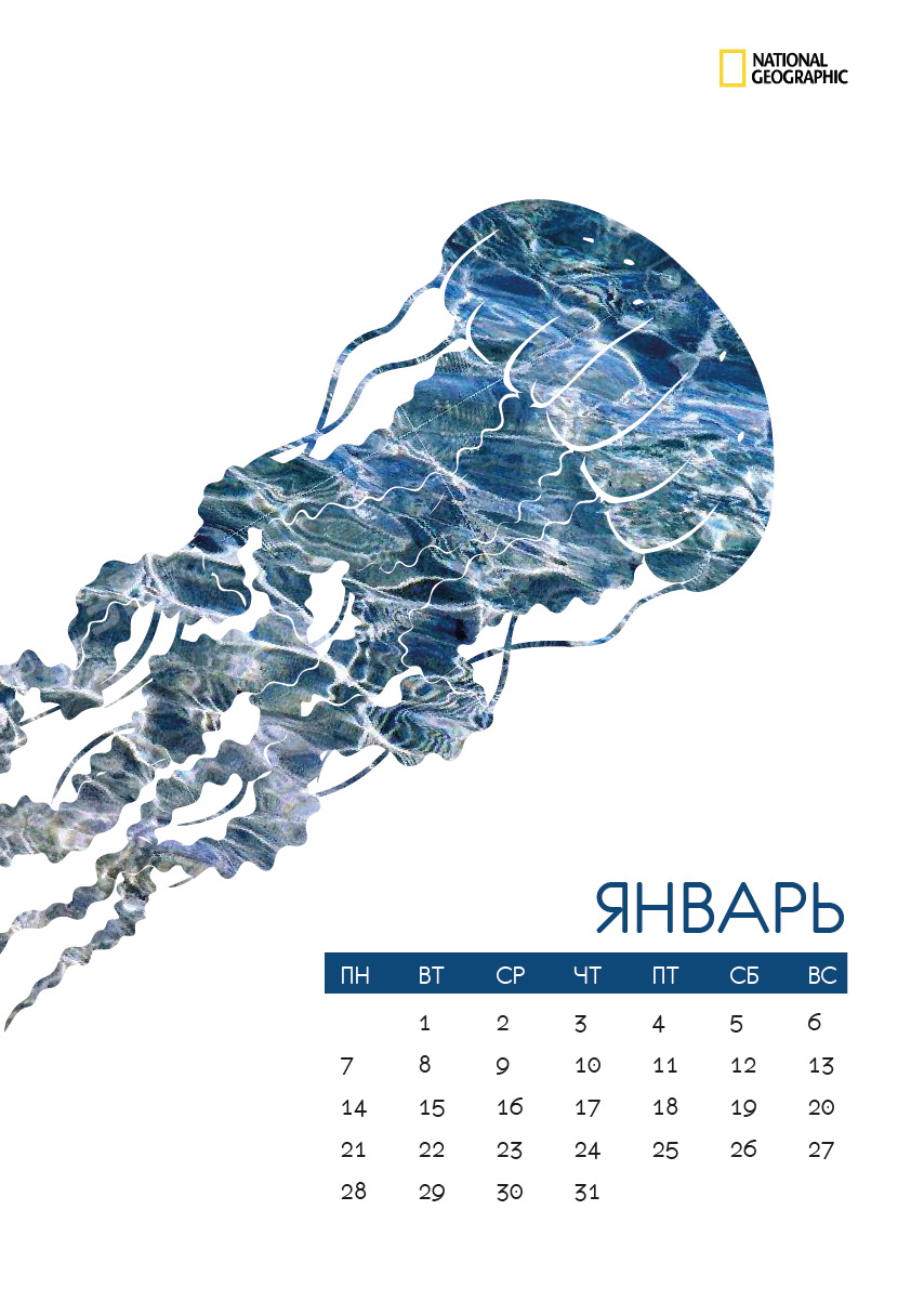 Nature графический дизайн calendar календарь