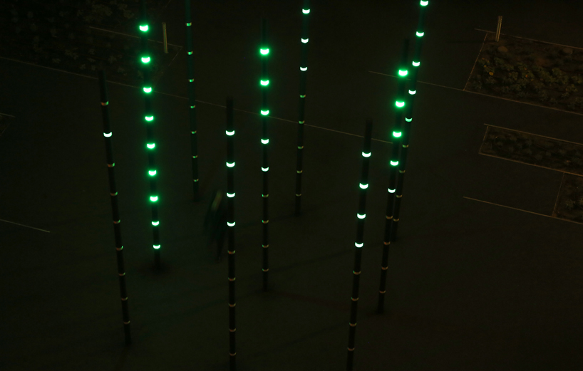LED Light bamboo roosegaarde   daan roosegaarde studio roosegaarde Hotelschool Amsterdam Crickets