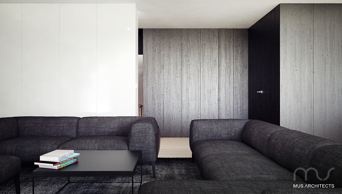 Minimalism MUS conceptual Interior design architecture modern apartment Penthous
