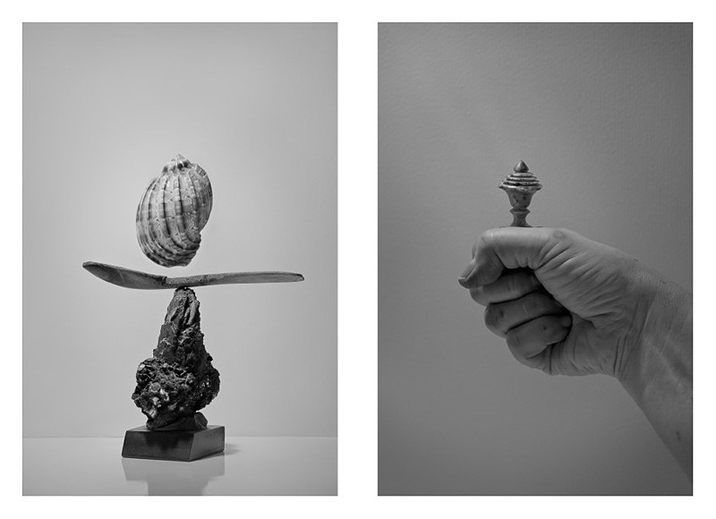 exploration objects still-life home black & white Shells statues Fly ornament journey imagination youth