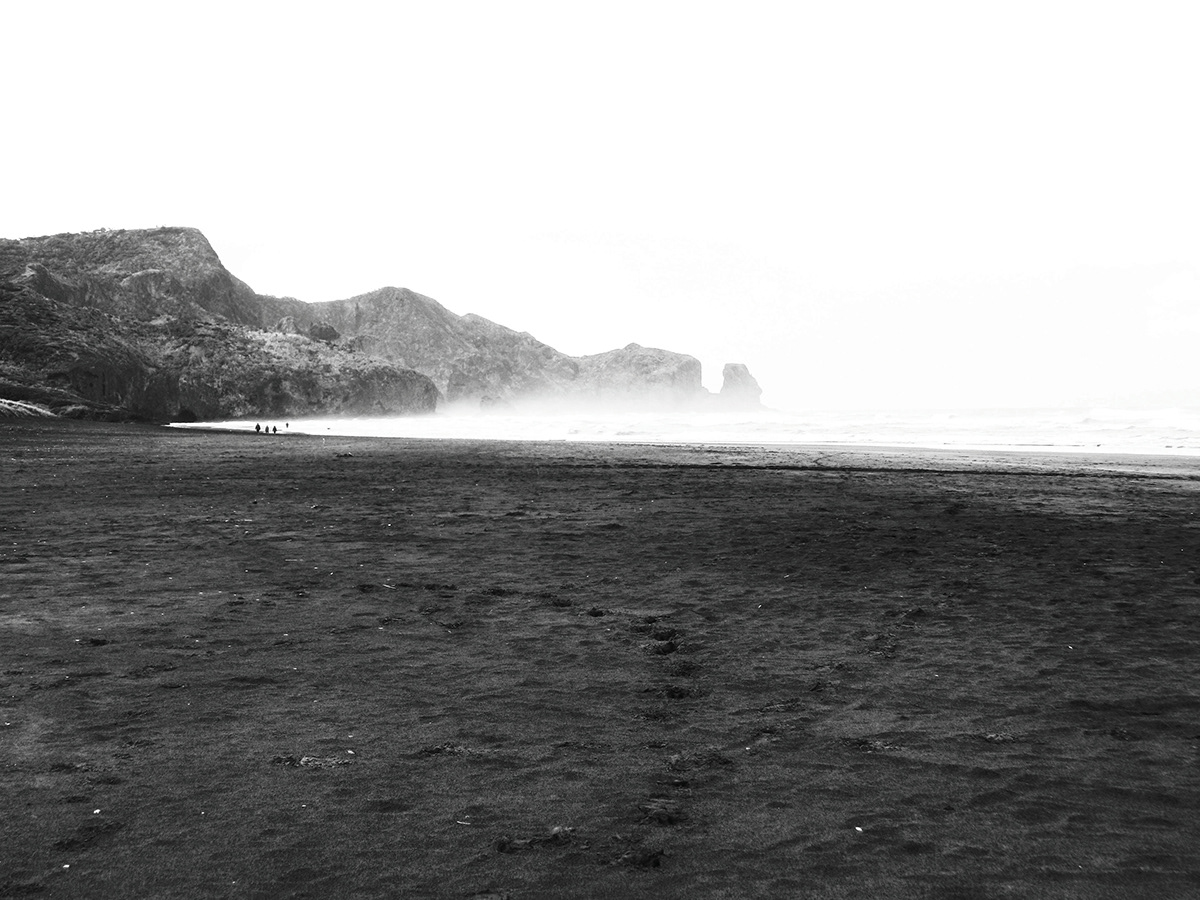 Landscape photomontage black and white research Natural Light New Zealand auckland west coast