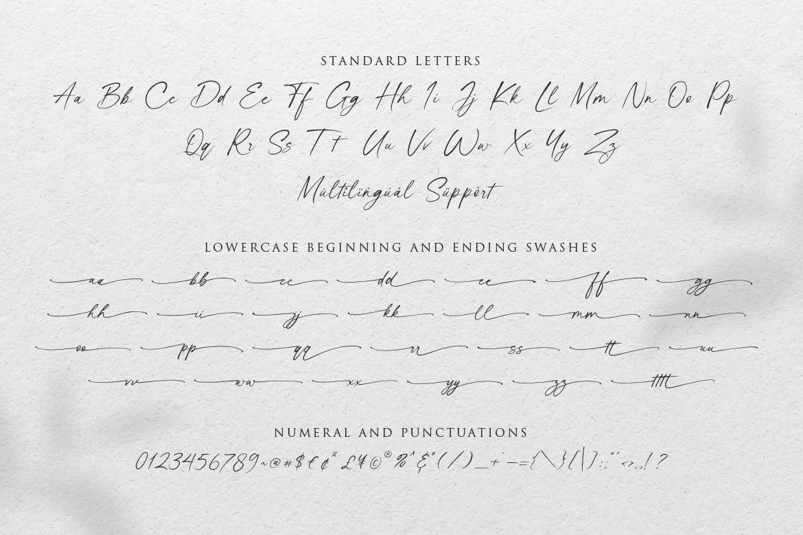 Script font Script Font handwritten handwriting lettering Calligraphy   typography   HAND LETTERING modern calligraphy