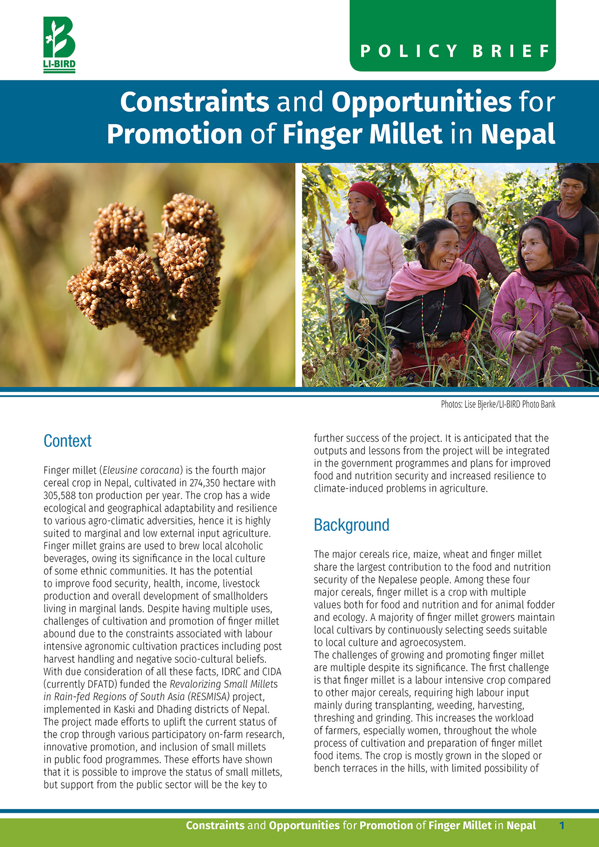 LI-BIRD Editorial Design editorial Design and Layout report brochure flyer nepali design Design from Nepal nepal Pokhara