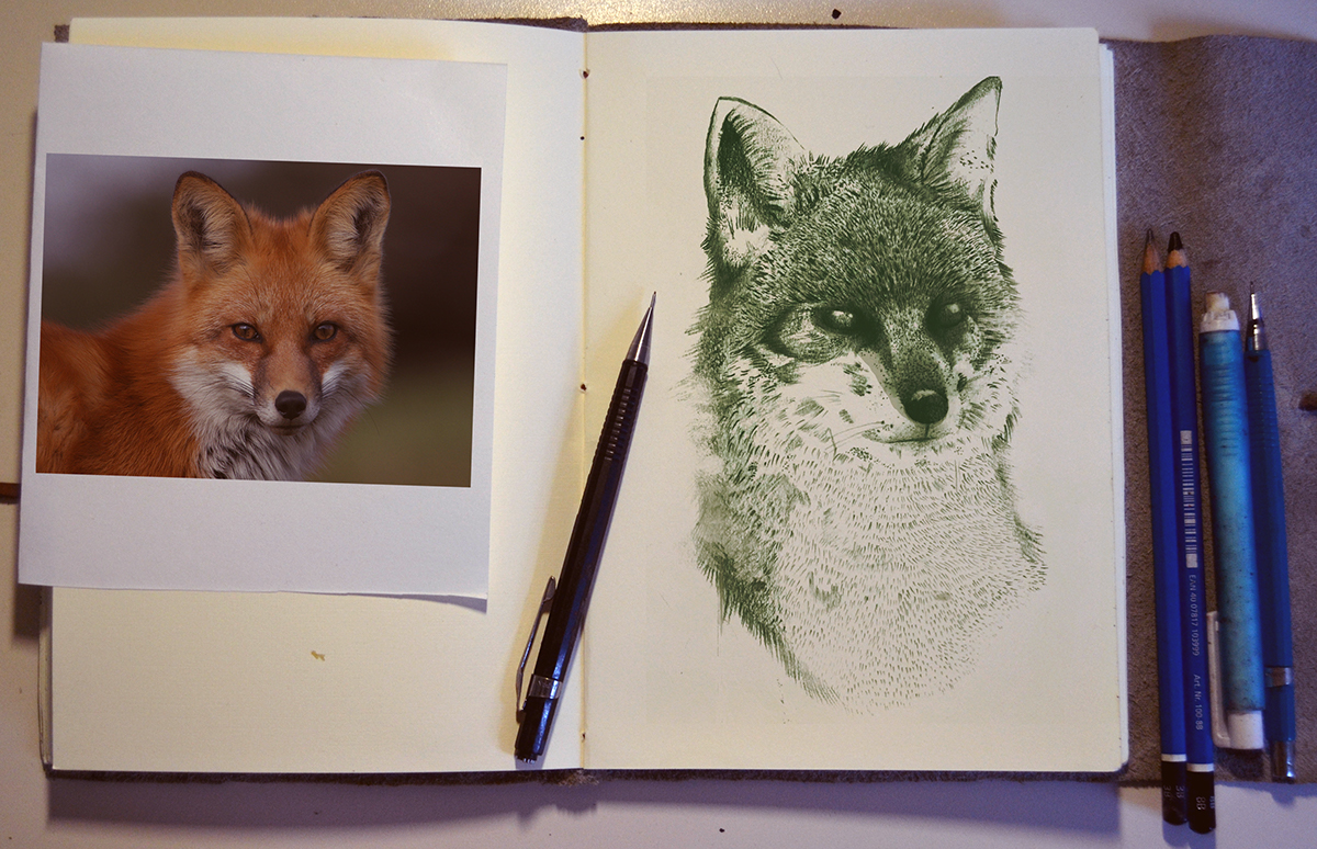 FOX surrealism dream ILLUSTRATION  draw pencil animal tshirt