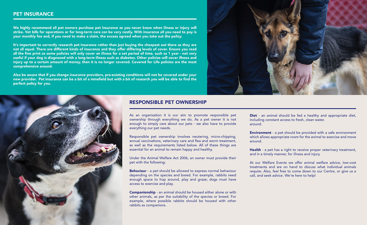 rescue rehibilitate rehome adopt responsible pet ownership