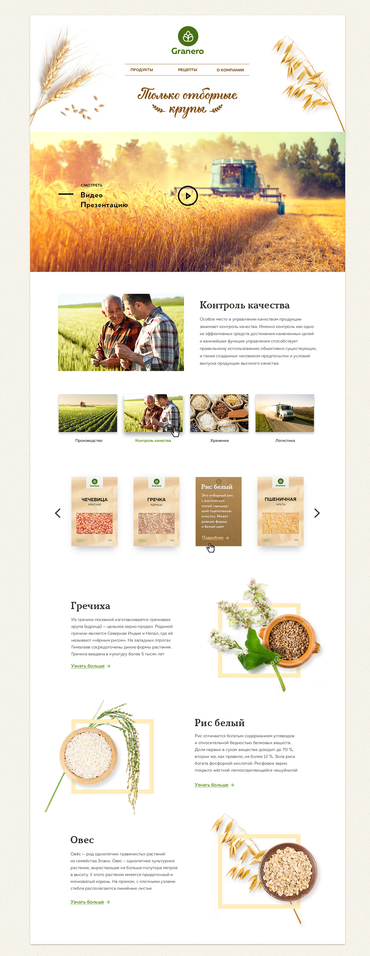 grain corn healthy eating agriculture Agro farm Calligraphy   Packaging eco-friendly fields