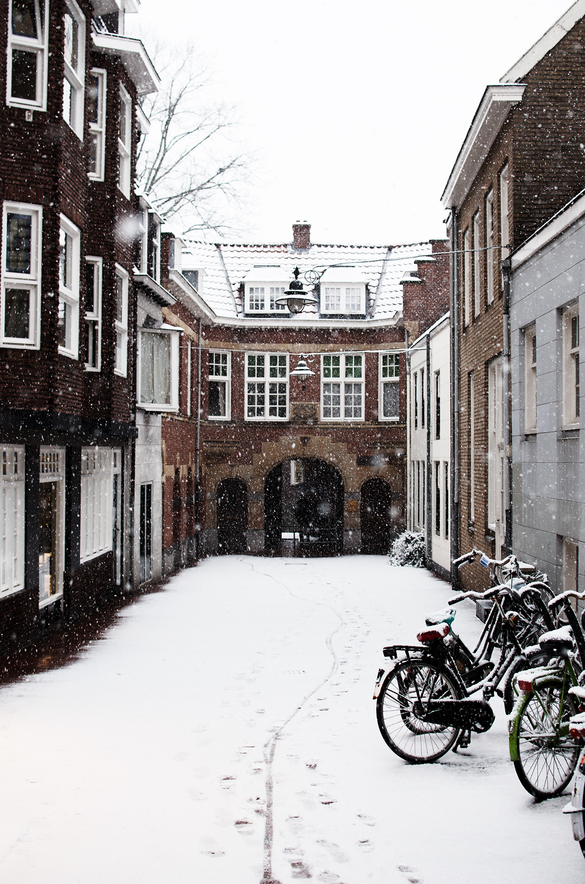 Netherlands winter snow Den Bosch 's-hertogenbosch