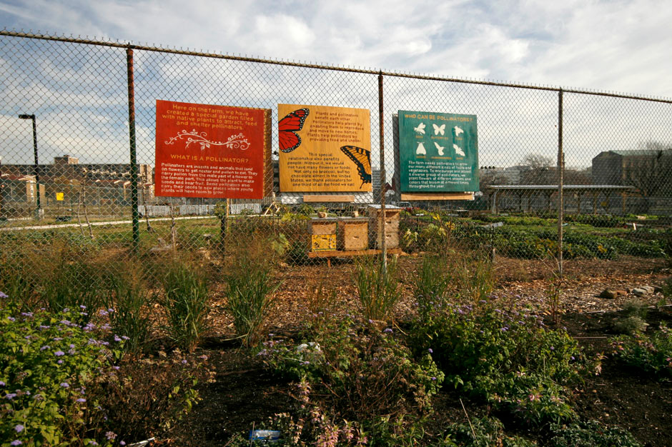 signs sign painting school farm school garden farm garden elementary
