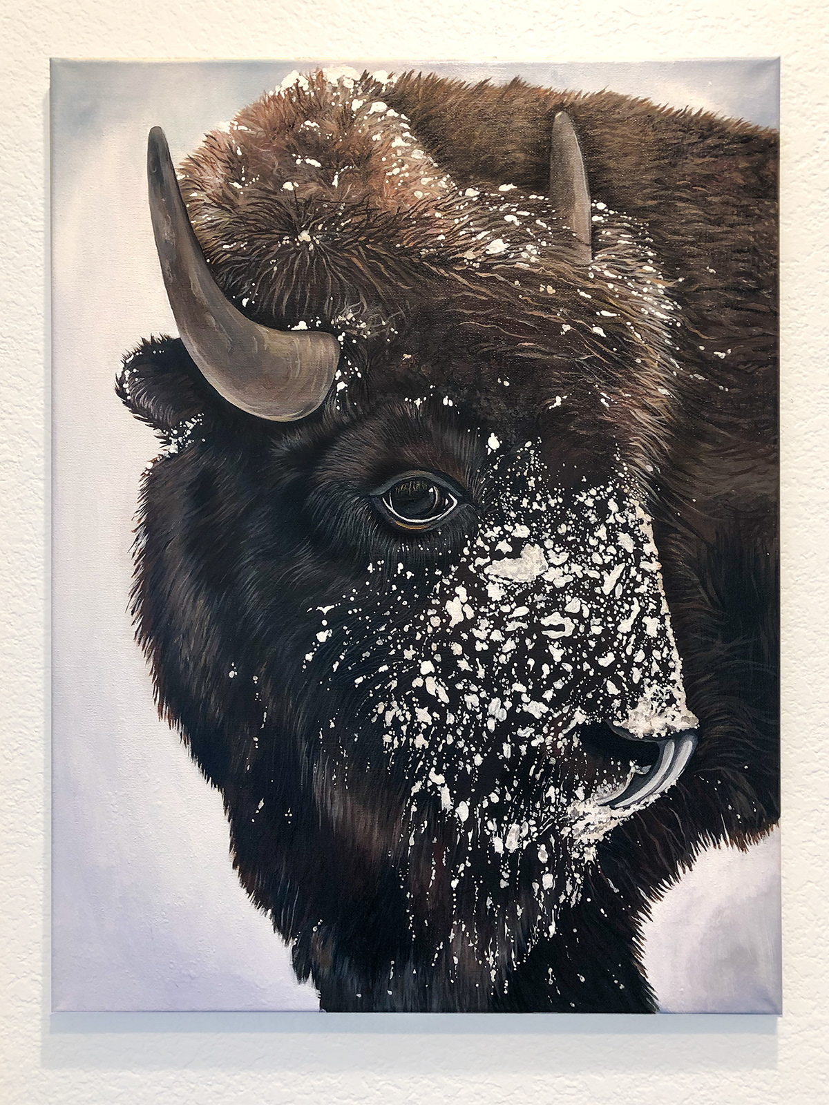Bison painting, acrylic on canvas 18x24