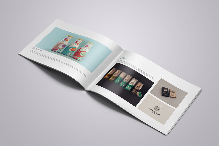 297x210 a4 agency book Booklet brochure clean creative customizable design designer elegant showcase portfolio minimal