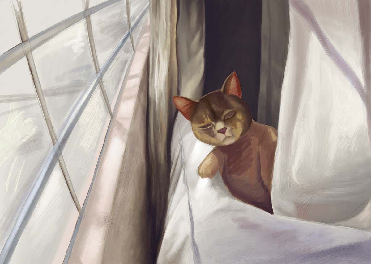 Cat Gato retrato portrait gabriel herrera gabulus Illustrator ilustrador