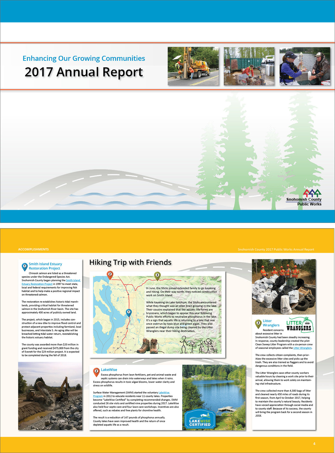 graphic design  annual report