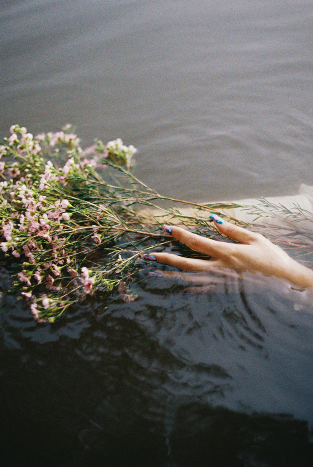 analog photography beauty film photography Flowers model Nature Photography  river water Shooting
