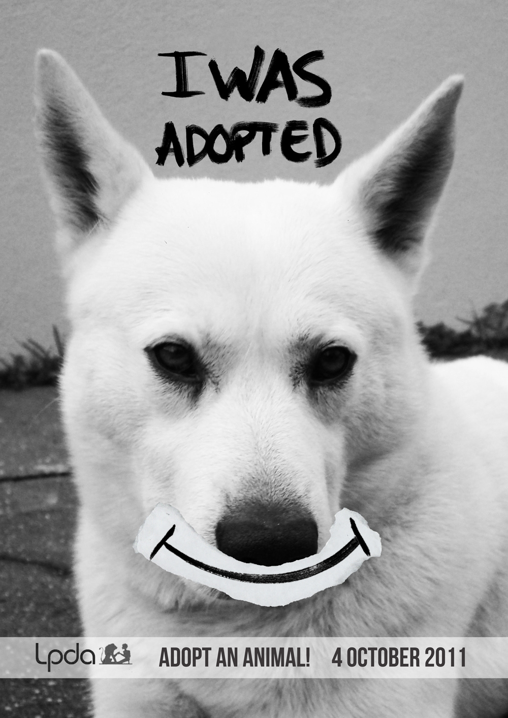 Advertising  Adopt an animal