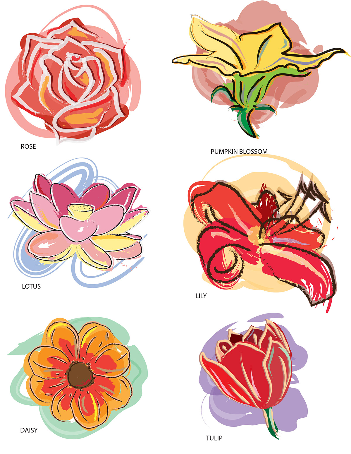 rose flower pumkin blossom lily daisy loose color Lotus Flowers soft paintbrush