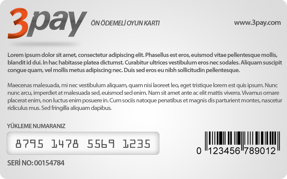 3pay payment Website