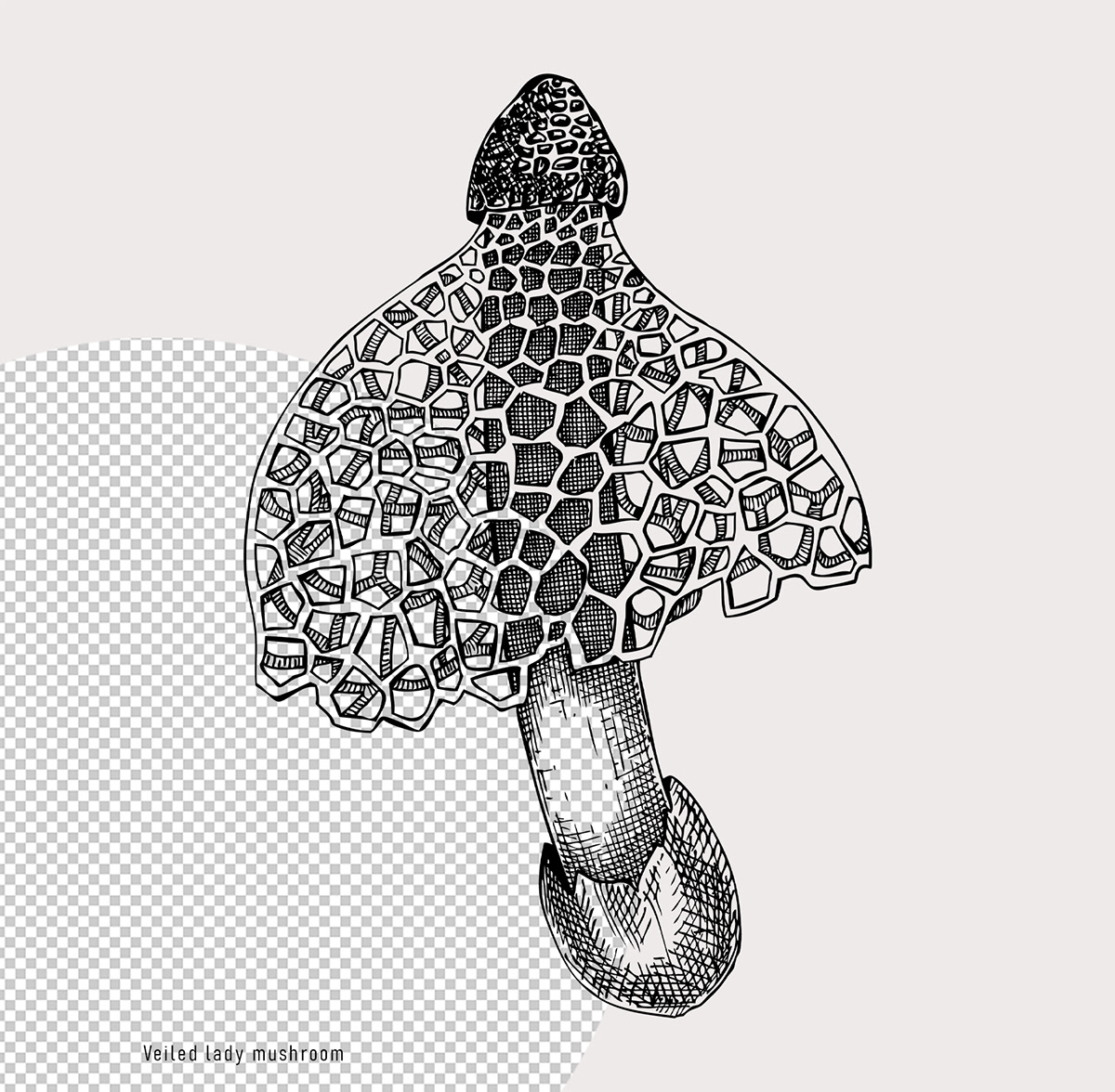 mushroom exotic forest Magical Fungi hand drawn vector sketch EPS digital illustration adobe illustrator