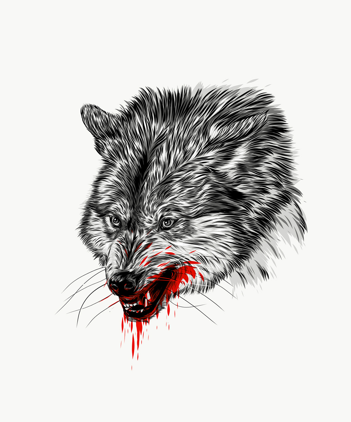 animals blood carnivore forest Fur predator Predators red vector wild