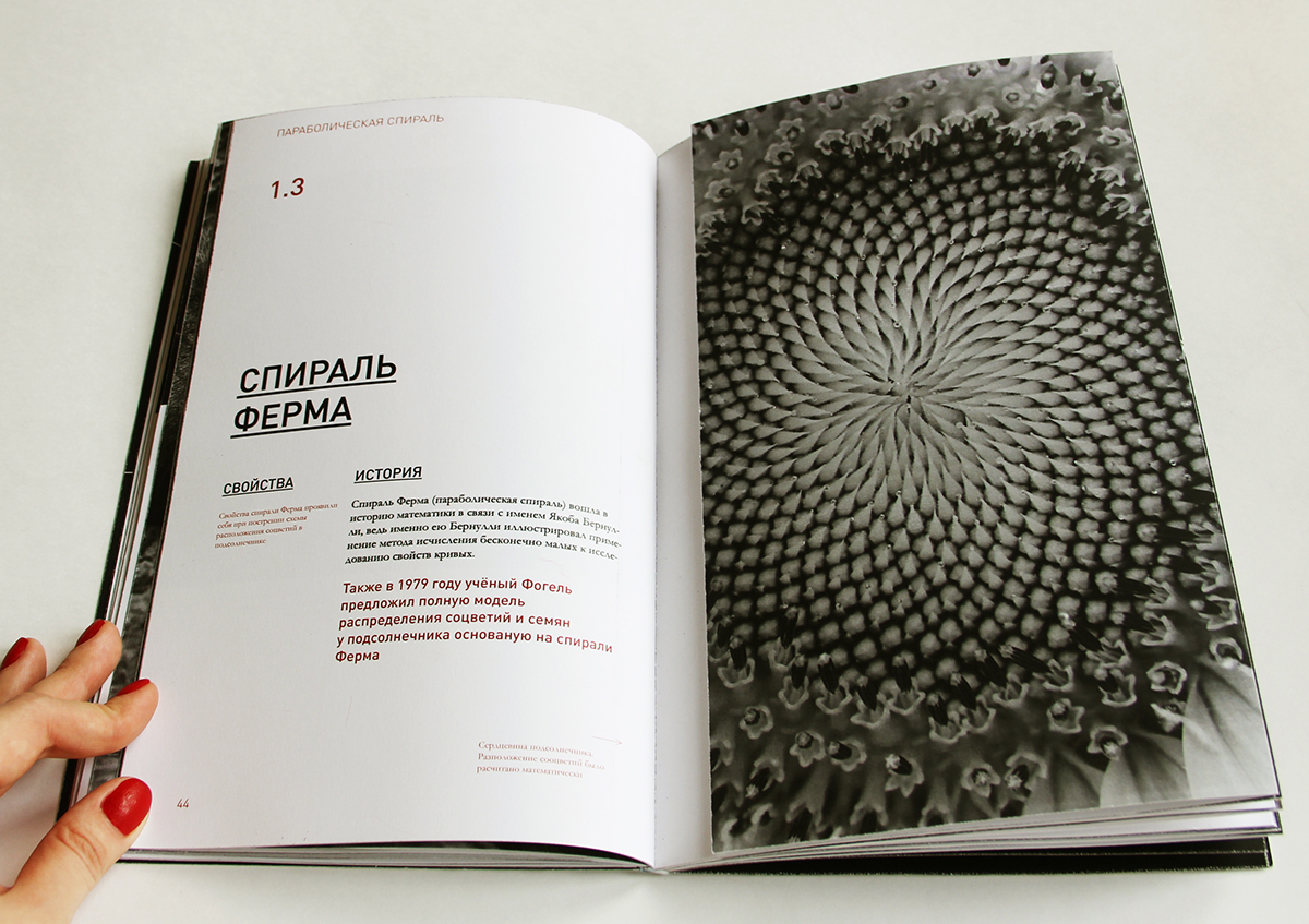 book research spirals typography   visual research graphic design  editorial design 
