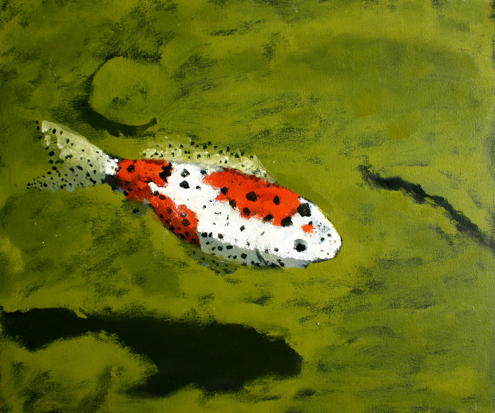 koi fish red green bright yellow pond lake water japanese