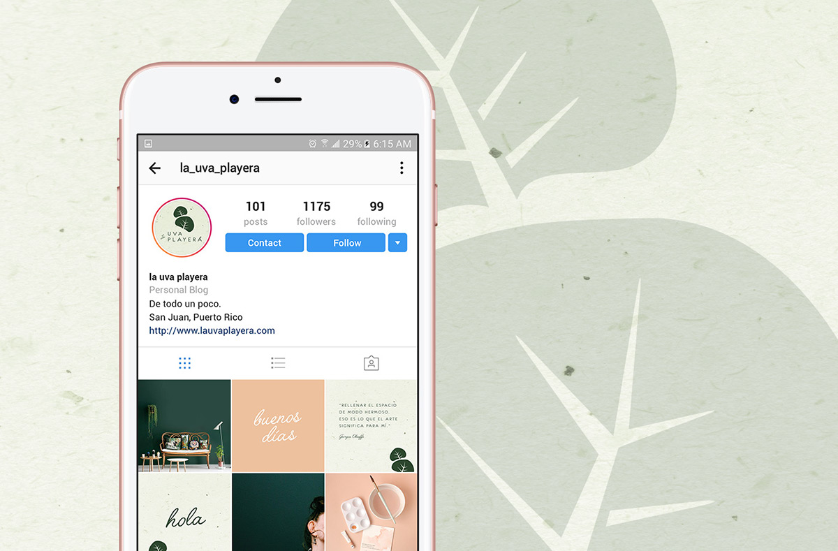 branding  social media instagram Blog identity Logo Design lifestyle