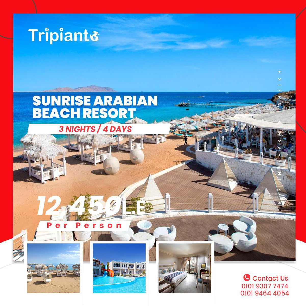 Social media post Travel Sahel Sharm El Sheikh france London Italy offers ads AMinfinity
