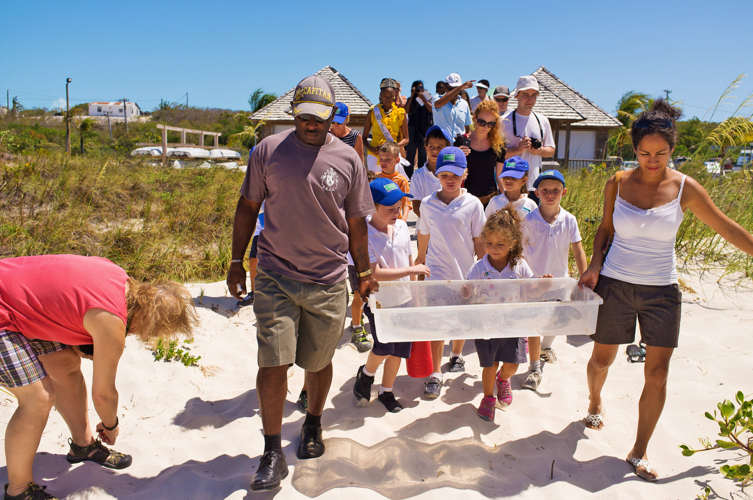 Ecology Nature conservation turks and caicos