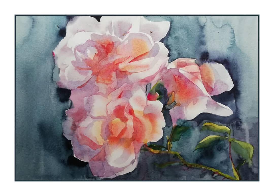 watercolor watercolor painting rose