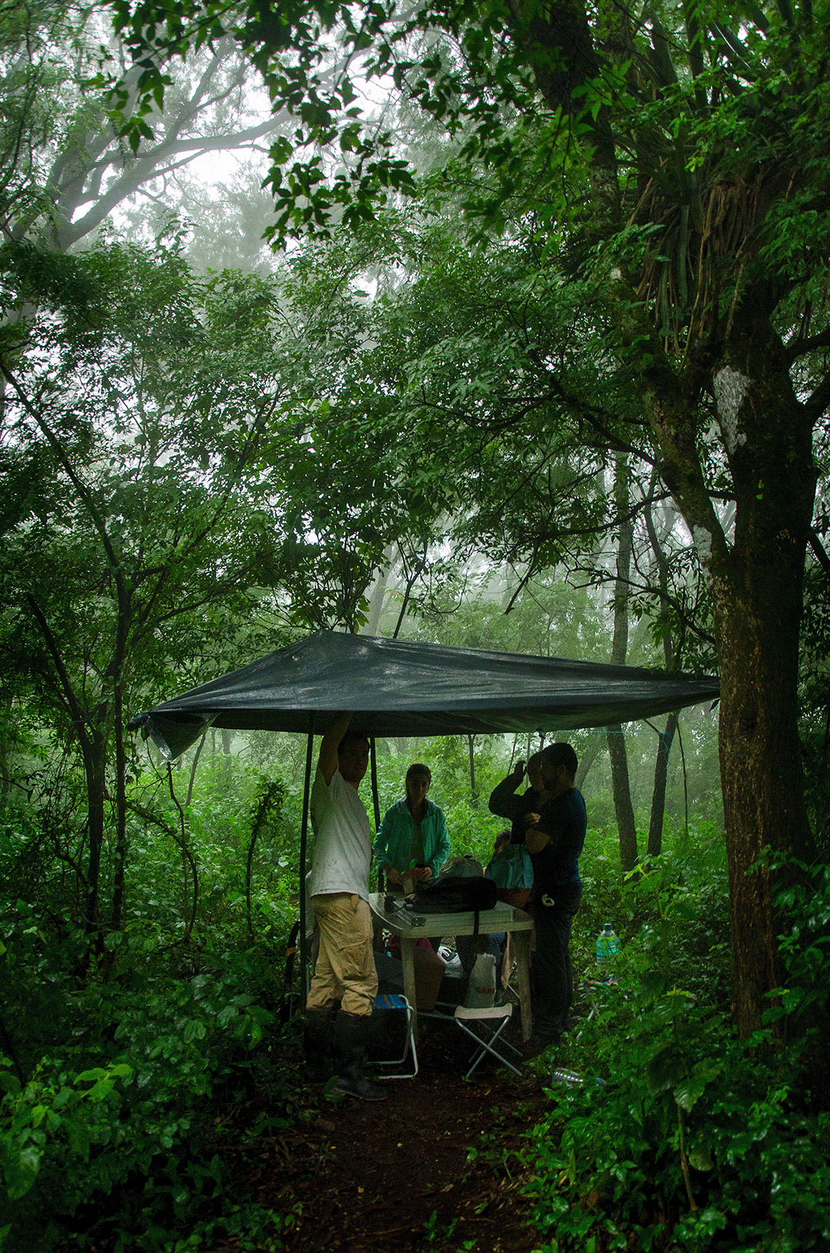 argentina biology Ecology jungle Nature Photography  selva Travel tucuman yungas