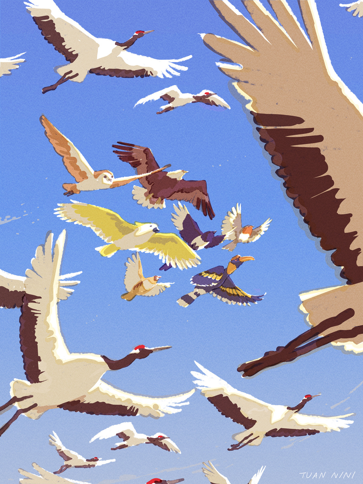 editorial birds Nature social Anthropology flight avian ILLUSTRATION 
