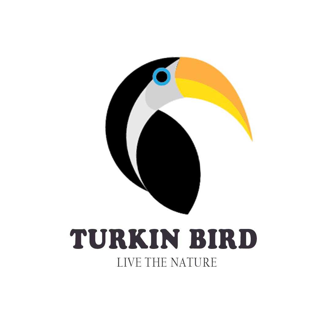 bird logo Logo Design