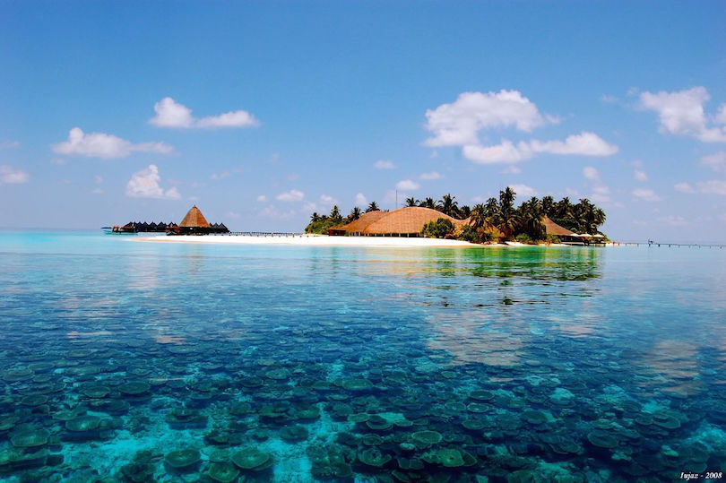 Maldives Reefs