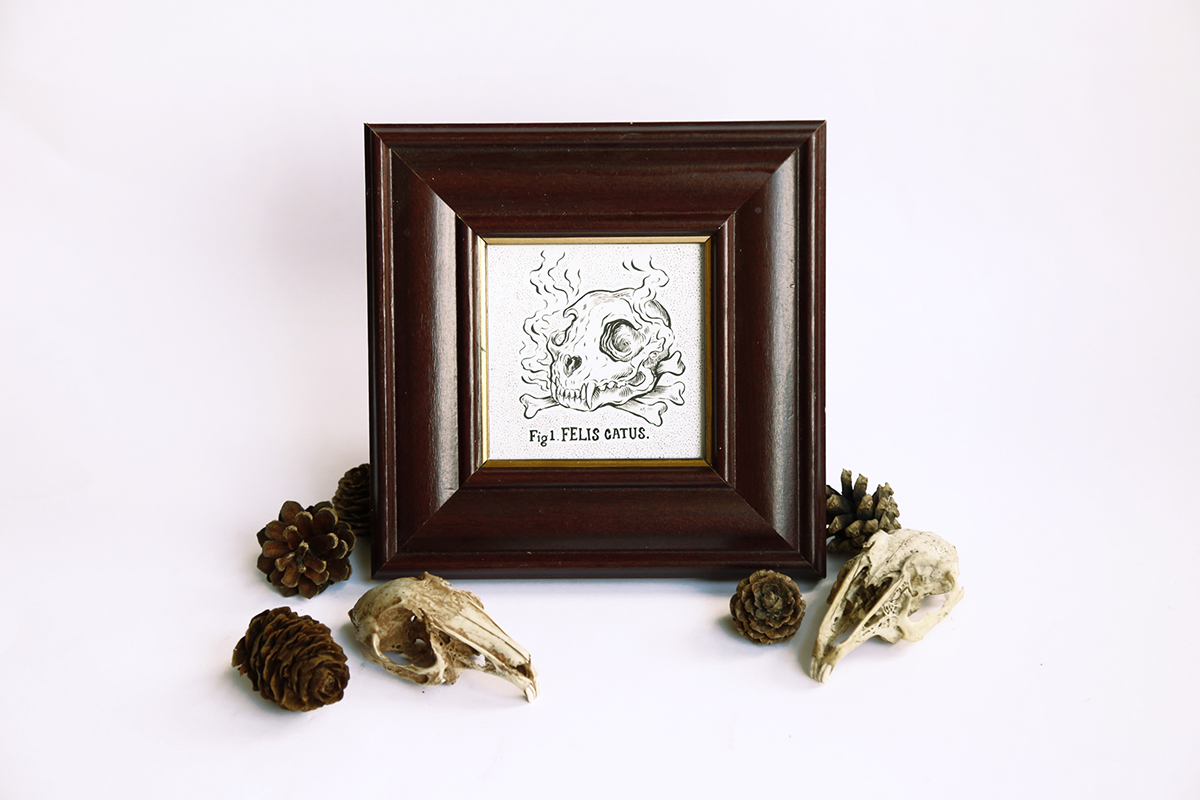 frame buy for sale art collectables kitsch Stuff Original pen and ink detail skull skulls bits and bobs