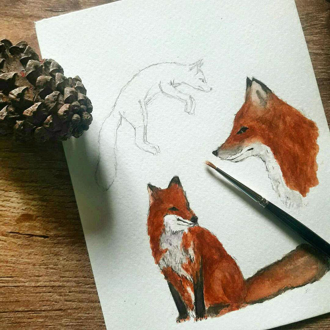 painting   ILLUSTRATION  Drawing  watercolor animals FOX