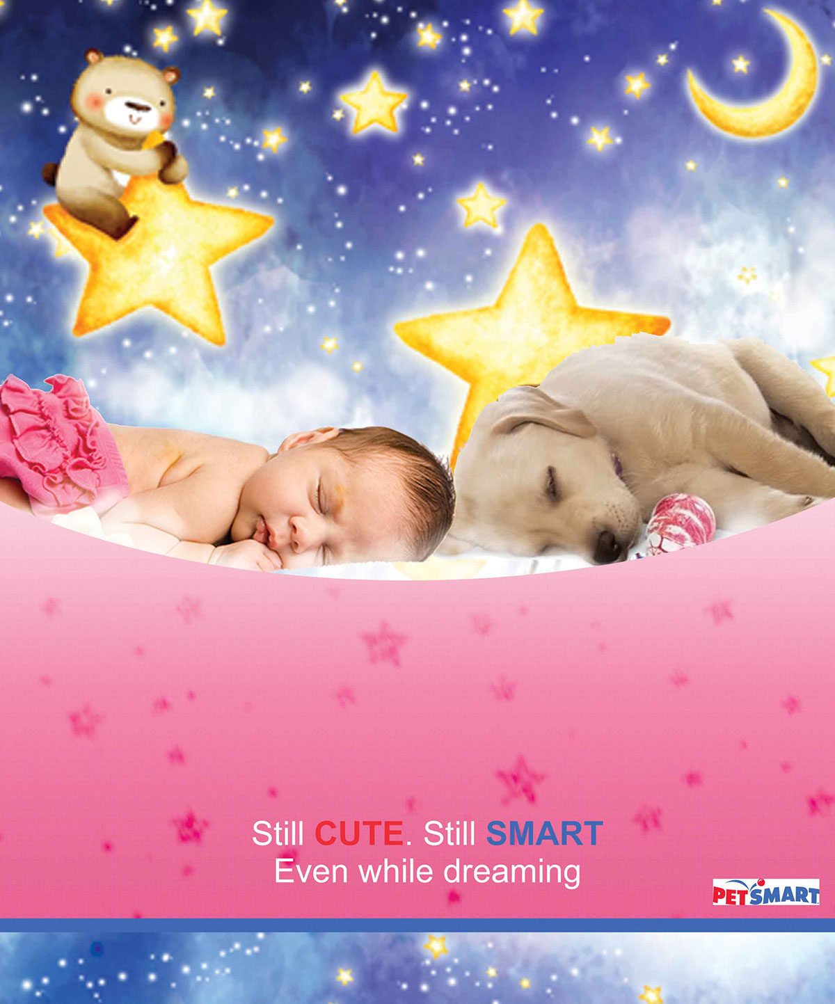 baby dog pets PetSmart Smart cute