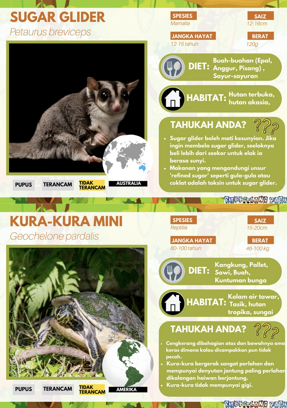 animal infographic zoo