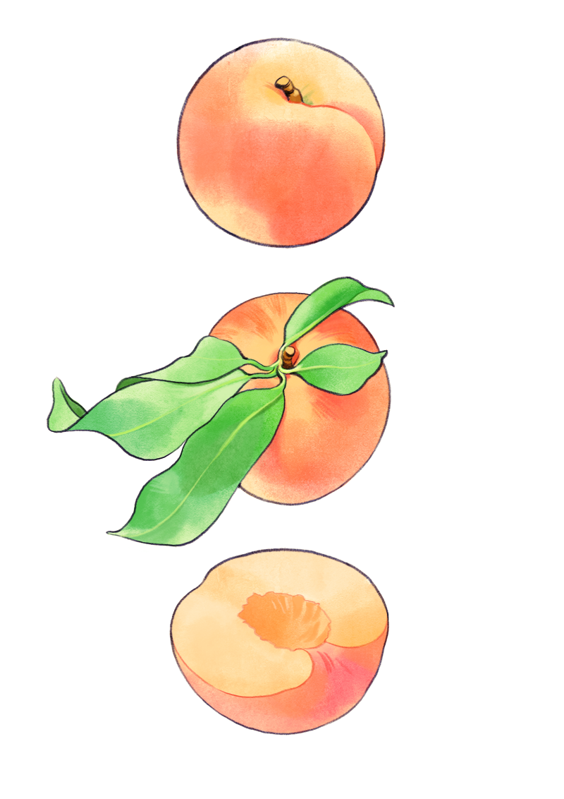 peach peaches Fruit leaf still nature