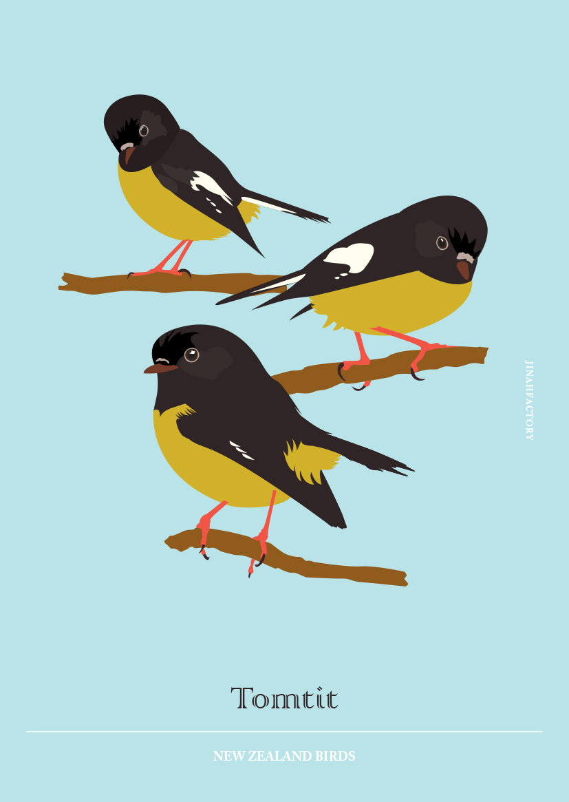 bird Bird Illustration ILLUSTRATION  New Zealand