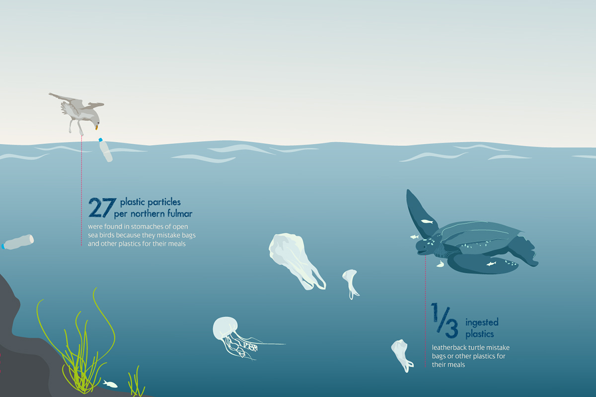 infographic pastic garbage Ocean sea animals influence information #madethis  #PassportToCreativity