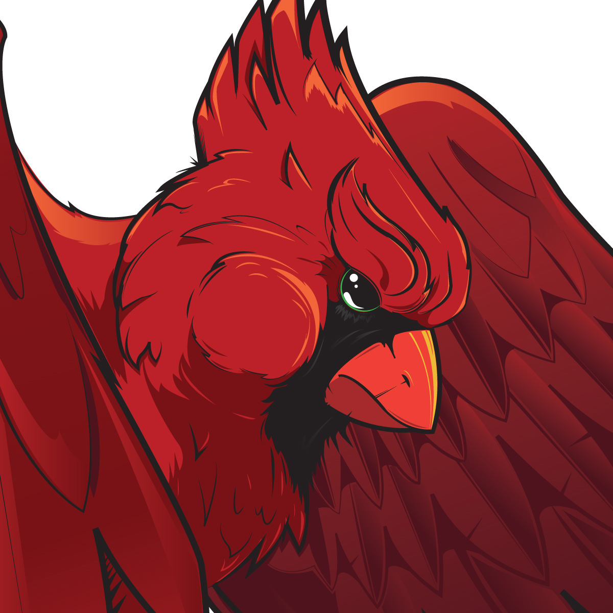 cardinal bird birds red vector "pen tool" Illustrator art graphic "Graphic Design" cartoon feathers illustrating
