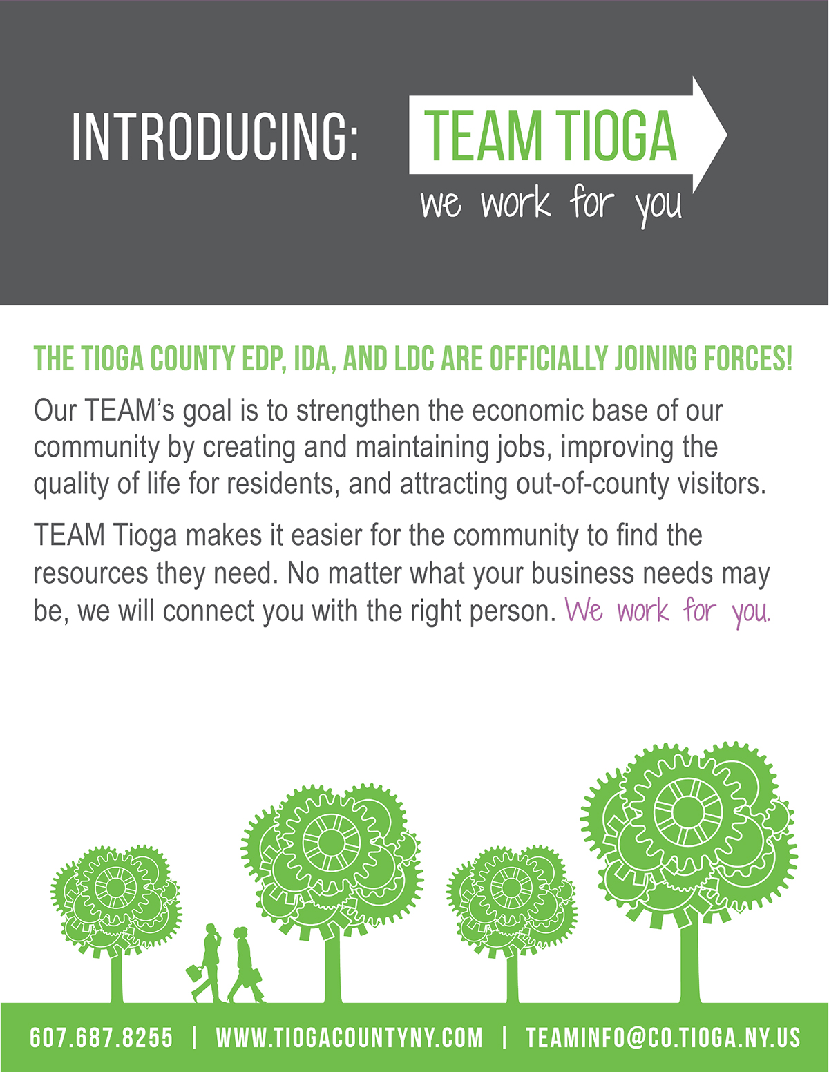 Adobe Portfolio TEAM Tioga branding 