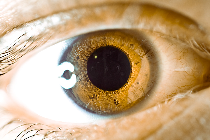 eye close-up macro eye iris close-up wallpaper