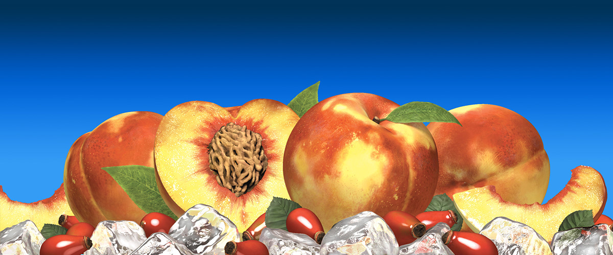 labels  juices  Fruit  Illustration  digital